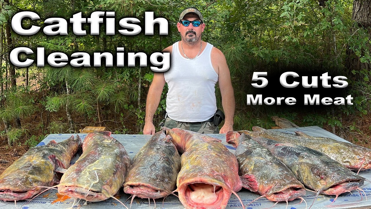 Guide-Shack-Catfish-Clean