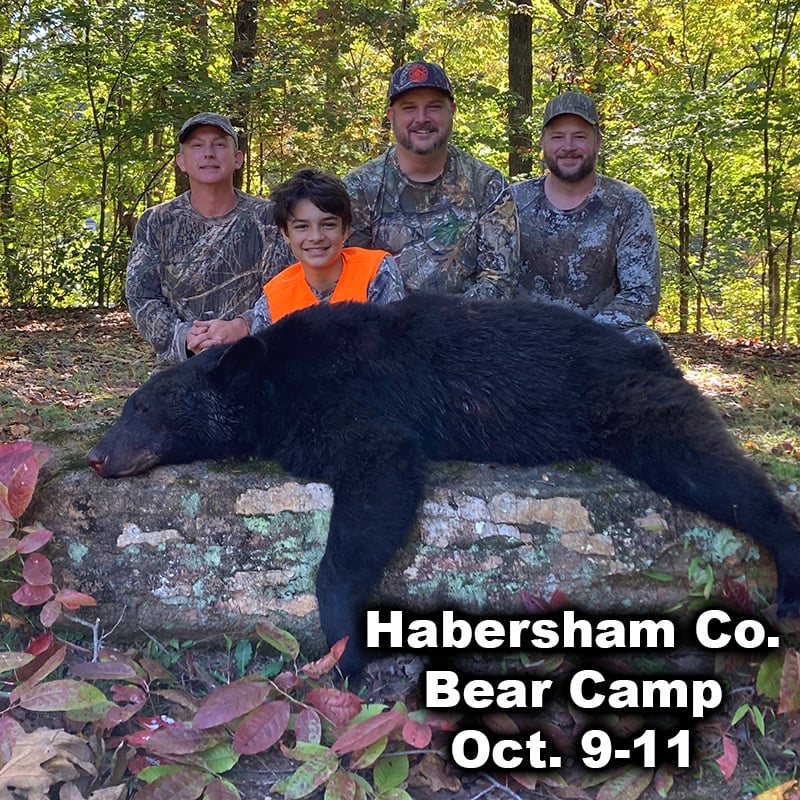 Habersham-Bear-2025-1