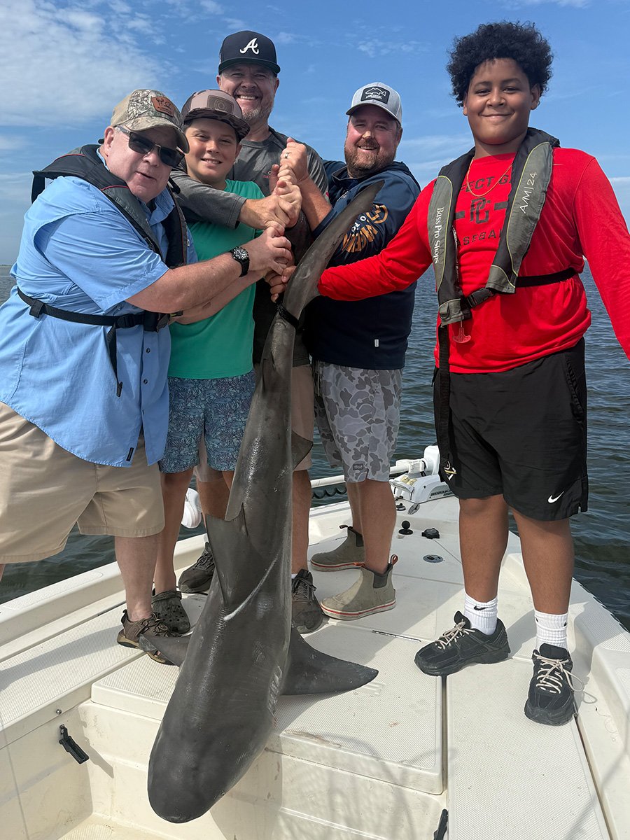 Mcintosh-Shark-2026-lead