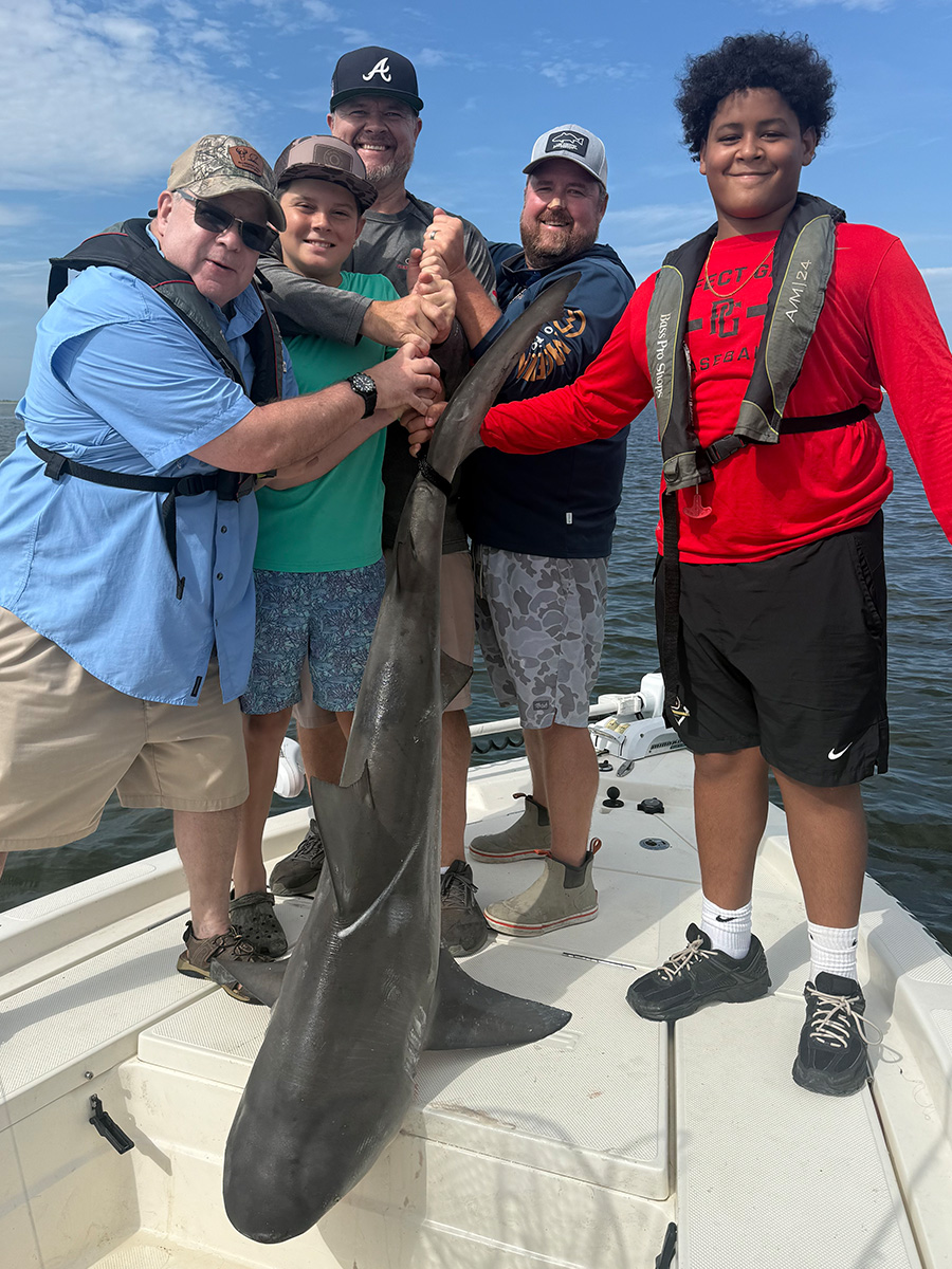 Mcintosh-Shark-2026-lead Mcintosh-Shark-2026-lead